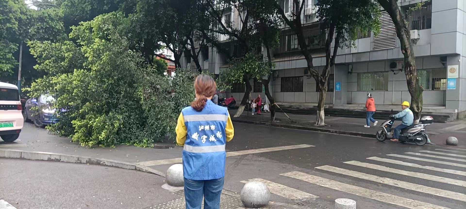 堅持雨后精準采集，共護市民出行安全