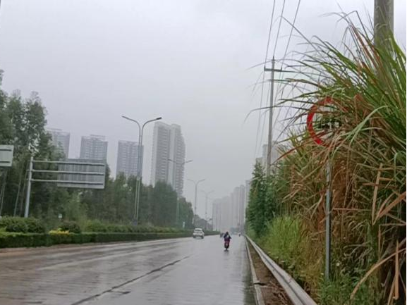 全力以赴戰寒潮，姜汁湯圓暖人心